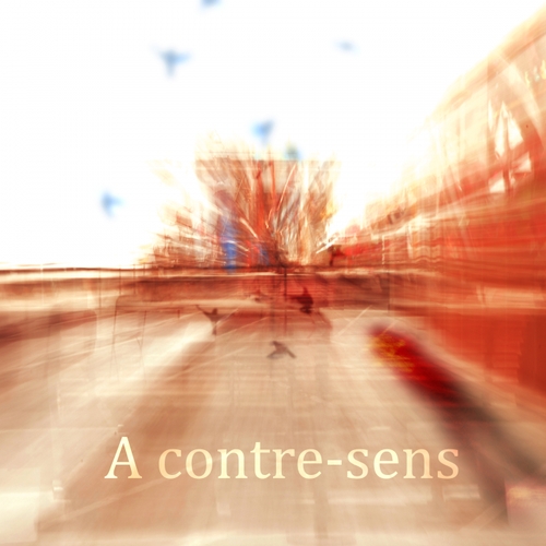 Couverture À CONTRE-SENS de Adrien PINET