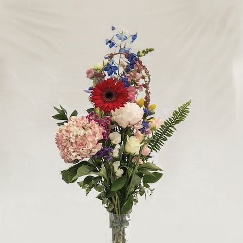 Couverture 2013 de Meilyr JONES