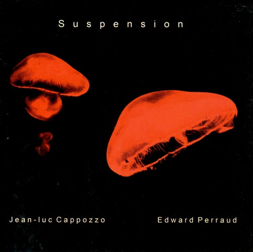 Couverture SUSPENSION de Jean-Luc CAPPOZZO & EDWARD PERRAUD