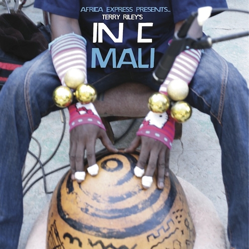 Couverture AFRICA EXPRESS PRESENTS... TERRY RILEY'S IN C MALI