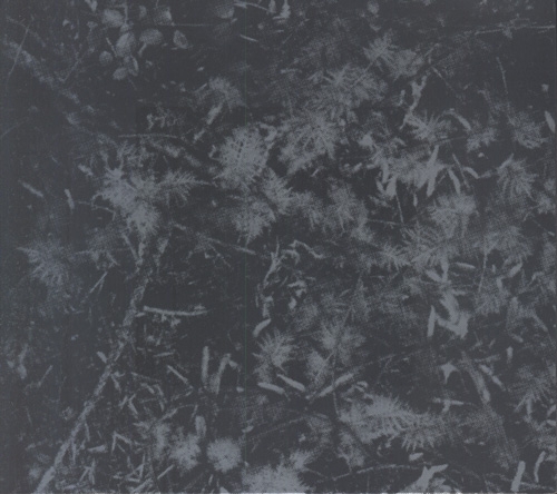 Couverture POISONED SOIL de HOUSE OF LOW CULTURE