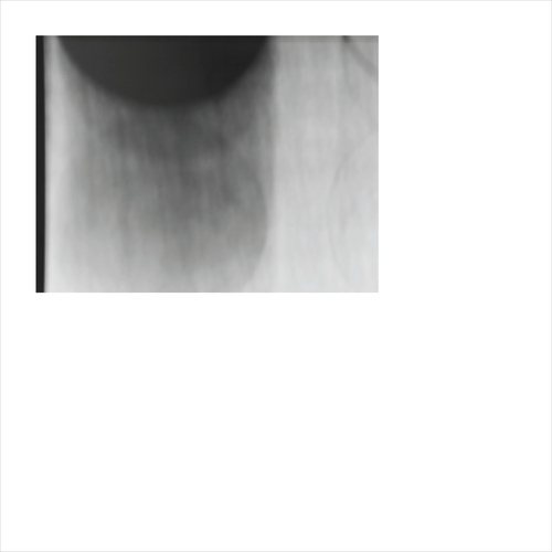 Couverture APPROACHING NOTHING de Lawrence ENGLISH