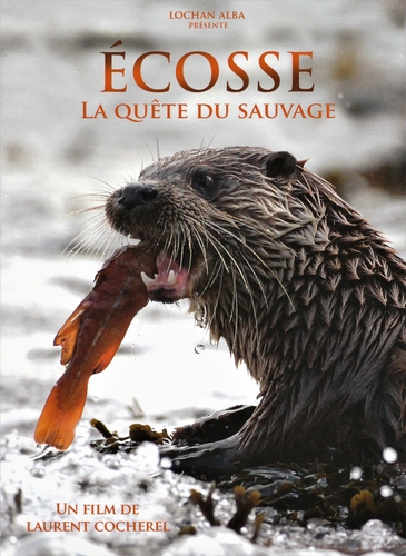 Couverture ÉCOSSE, LA QUÊTE DU SAUVAGE