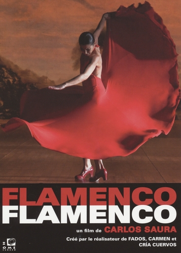 Couverture FLAMENCO, FLAMENCO