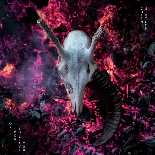 Couverture THE LOVE IT TOOK TO LEAVE YOU de Colin STETSON