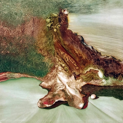 Couverture CAVE de LA FIN DES PSEUDONYMES