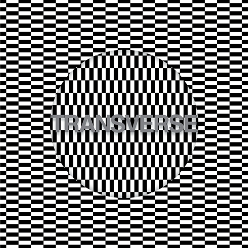 Couverture TRANSVERSE de CARTER TUTTI VOID