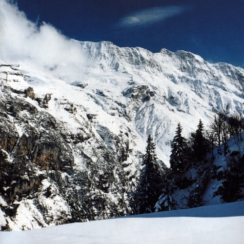 Couverture I AM NOT A DOCTOR de MOLOKO