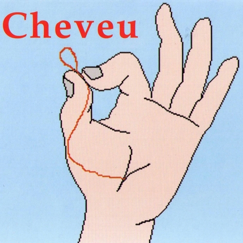 Couverture CHEVEU de CHEVEU