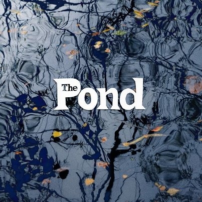 Couverture THE POND de THE POND