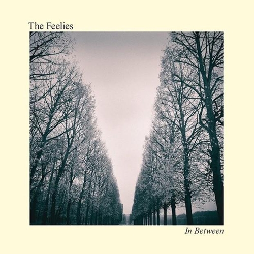 Couverture IN BETWEEN de THE FEELIES