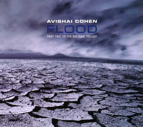 Couverture FLOOD (PART TWO OF THE BIG RAIN TRILOGY) de Avishai COHEN.