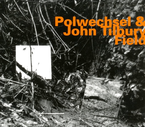 Couverture FIELD de POLWECHSEL & JOHN TILBURY