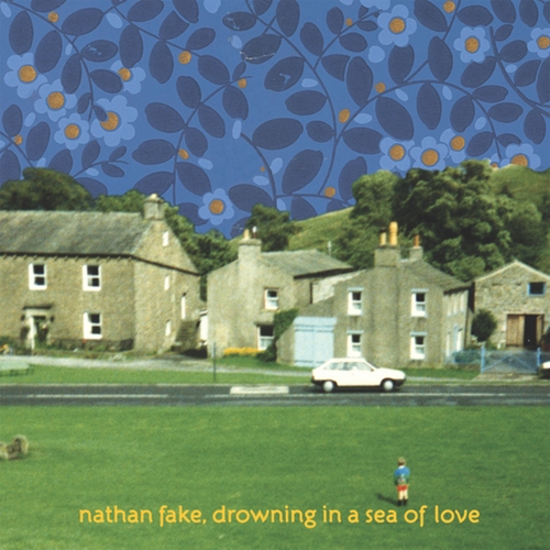 Couverture DROWNING IN A SEA OF LOVE de Nathan FAKE