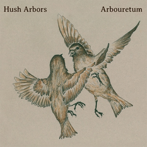 Couverture AUREOLA de HUSH ARBORS & ARBOURETUM
