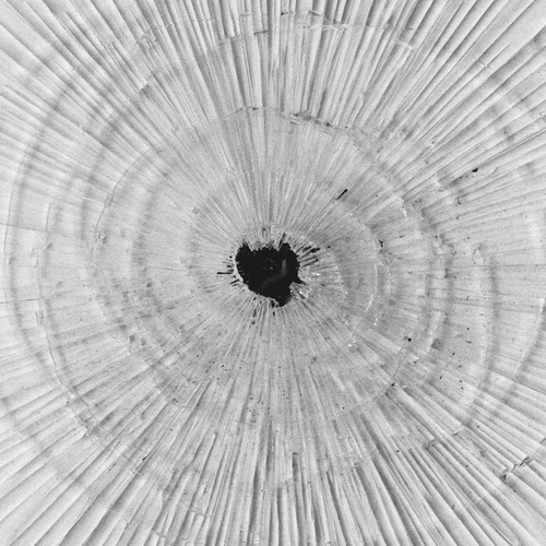 Couverture DEMIURGE de EMPTYSET