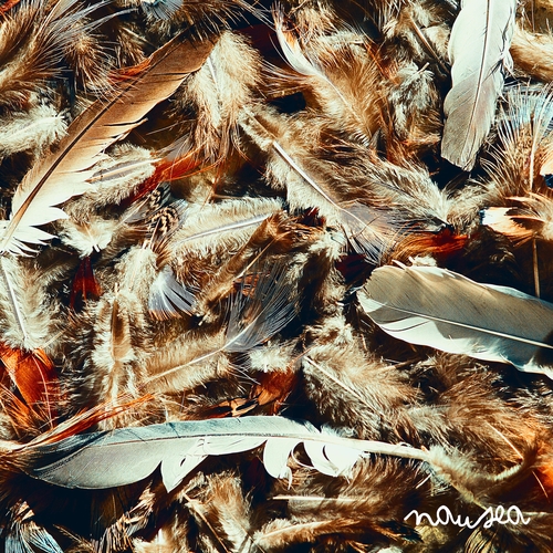 Couverture NAUSEA de MOODIE BLACK