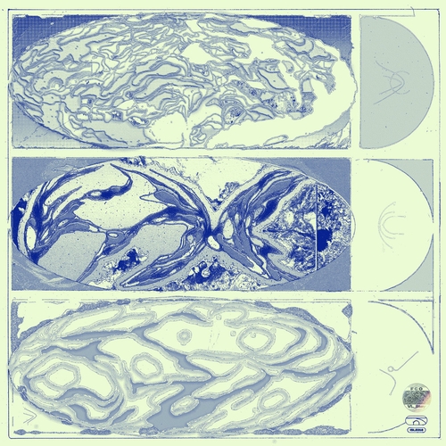 Couverture VL_STAY de FAN CLUB ORCHESTRA