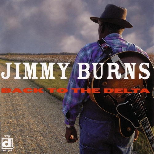Couverture BACK TO THE DELTA de Jimmy BURNS