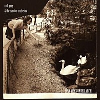 Couverture SPIN VOWS UNDER ARCH de Nick GREY & THE RANDOM ORCHESTRA