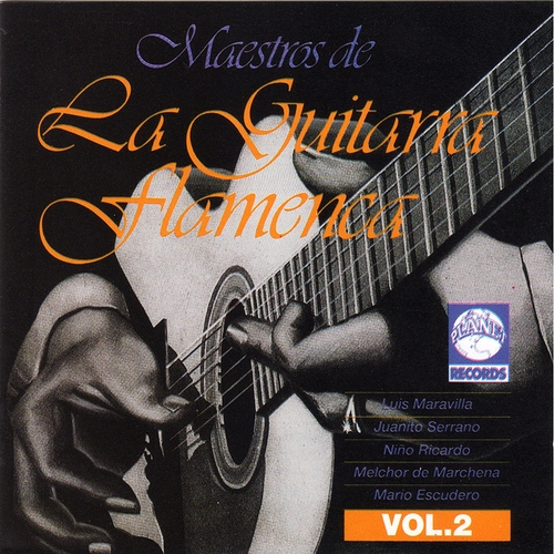 Couverture MAESTROS DE LA GUITARRA FLAMENCA, VOL.2