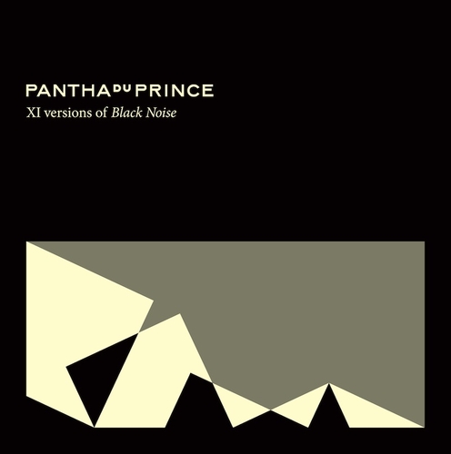Couverture XI VERSIONS OF BLACK NOISE de PANTHA DU PRINCE