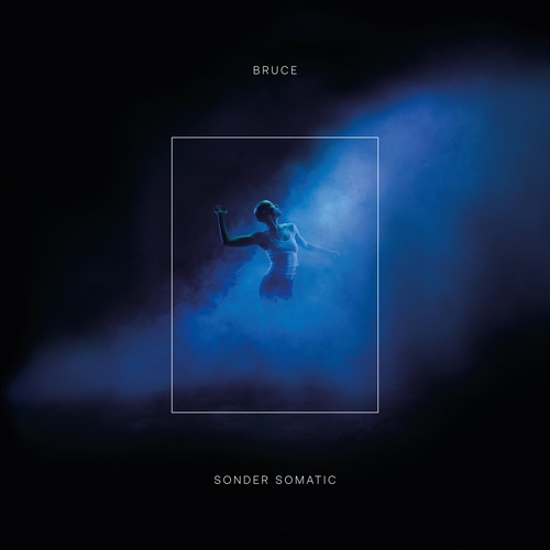 Couverture SONDER SOMATIC de BRUCE