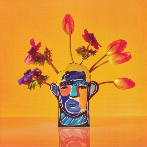 Couverture BEAUTIFUL THING de Alexis TAYLOR