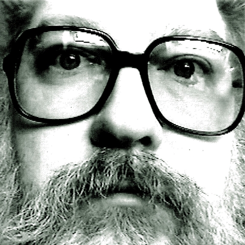 Couverture LO FI HI FIVES...AND A KIND OF BEST OF de R. Stevie MOORE