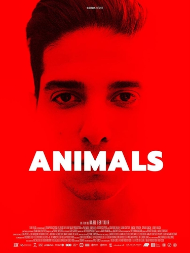Couverture ANIMALS de Nabil BEN YADIR