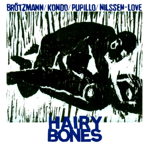 Couverture HAIRY BONES de Peter BRÖTZMANN/KONDO/PUPILLO/NILSSEN-LOVE