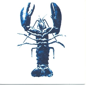 Couverture DOUBLE ARTICULATION