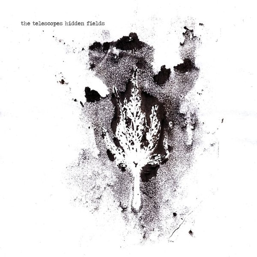 Couverture HIDDEN FIELDS de THE TELESCOPES