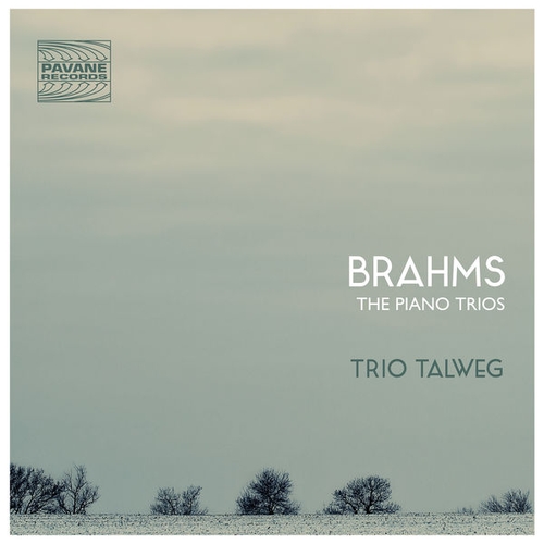Couverture TRIO CLAVIER 1-3 de Johannes BRAHMS