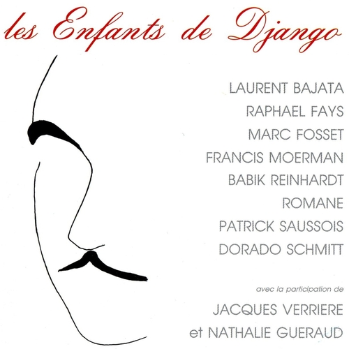 Couverture LES ENFANTS DE DJANGO