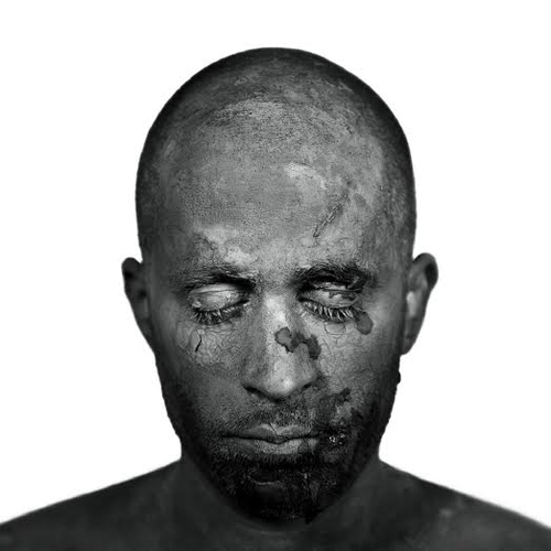 Couverture LA NAUSÉE de LA CANAILLE