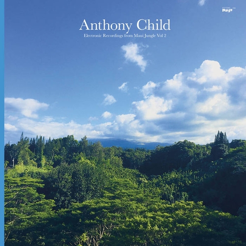 Couverture ELECTRONIC RECORDINGS FROM MAIU JUNGLE, VOL.2 de Anthony CHILD