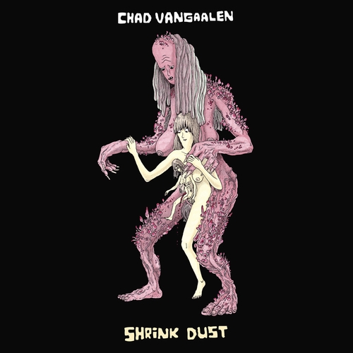 Couverture SHRINK DUST de Chad VANGAALEN