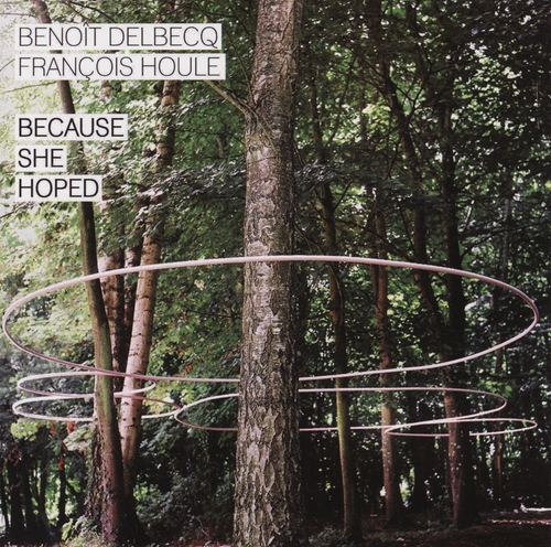 Couverture BECAUSE SHE HOPED de Benoît DELBECQ & FRANÇOIS HOULE