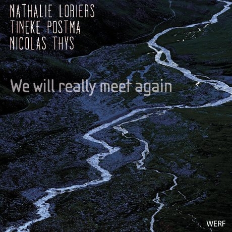 Couverture WE WILL REALLY MEET AGAIN de Nathalie LORIERS/POSTMA/THYS
