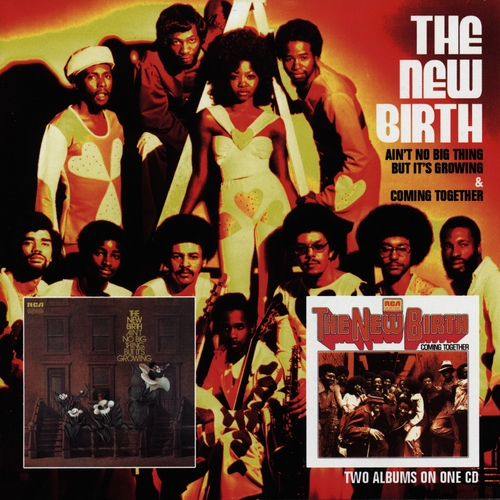 Couverture AIN'T NO BIG THING BUT IT'S GROWING/COMING TOGETHER de THE NEW BIRTH