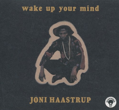 Couverture WAKE UP YOUR MIND de Joni HAASTRUP