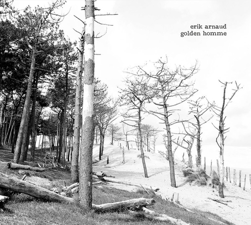 Couverture GOLDEN HOMME de Erik ARNAUD