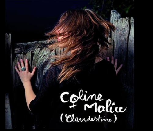 Couverture (CLANDESTINE) de Coline MALICE