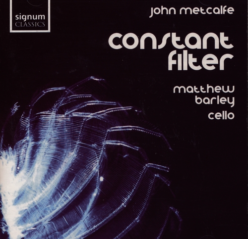 Couverture CONSTANT FILTER de John METCALFE