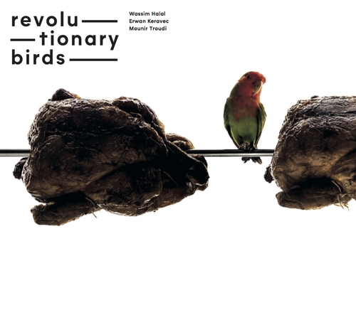 Couverture REVOLUTIONARY BIRDS de REVOLUTIONARY BIRDS