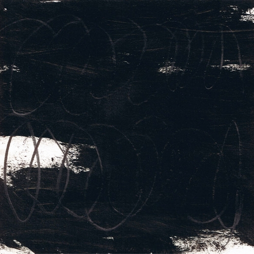 Couverture IDIOSCAPES