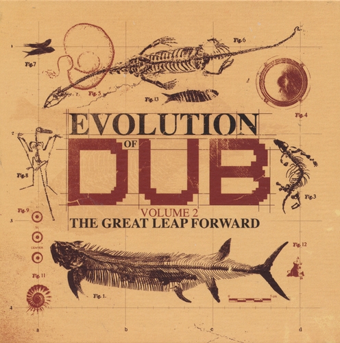 Couverture EVOLUTION OF DUB (VOLUME 2 - THE GREAT LEAP FORWARD) de THE AGGROVATORS
