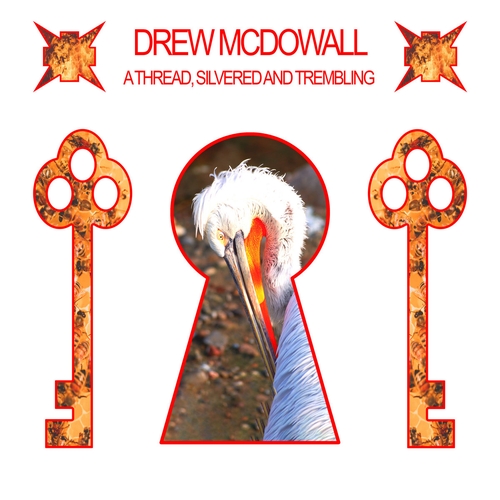 Couverture A THREAD, SILVERED AND TREMBLING de Drew MCDOWALL