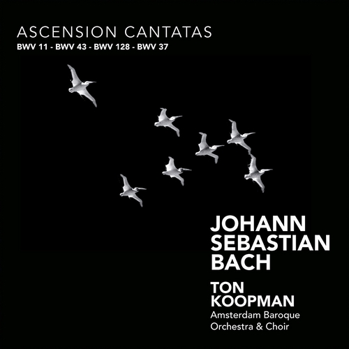 Couverture CANTATE: 11,37,43,128 - ASCENSION de Johann Sebastian BACH
